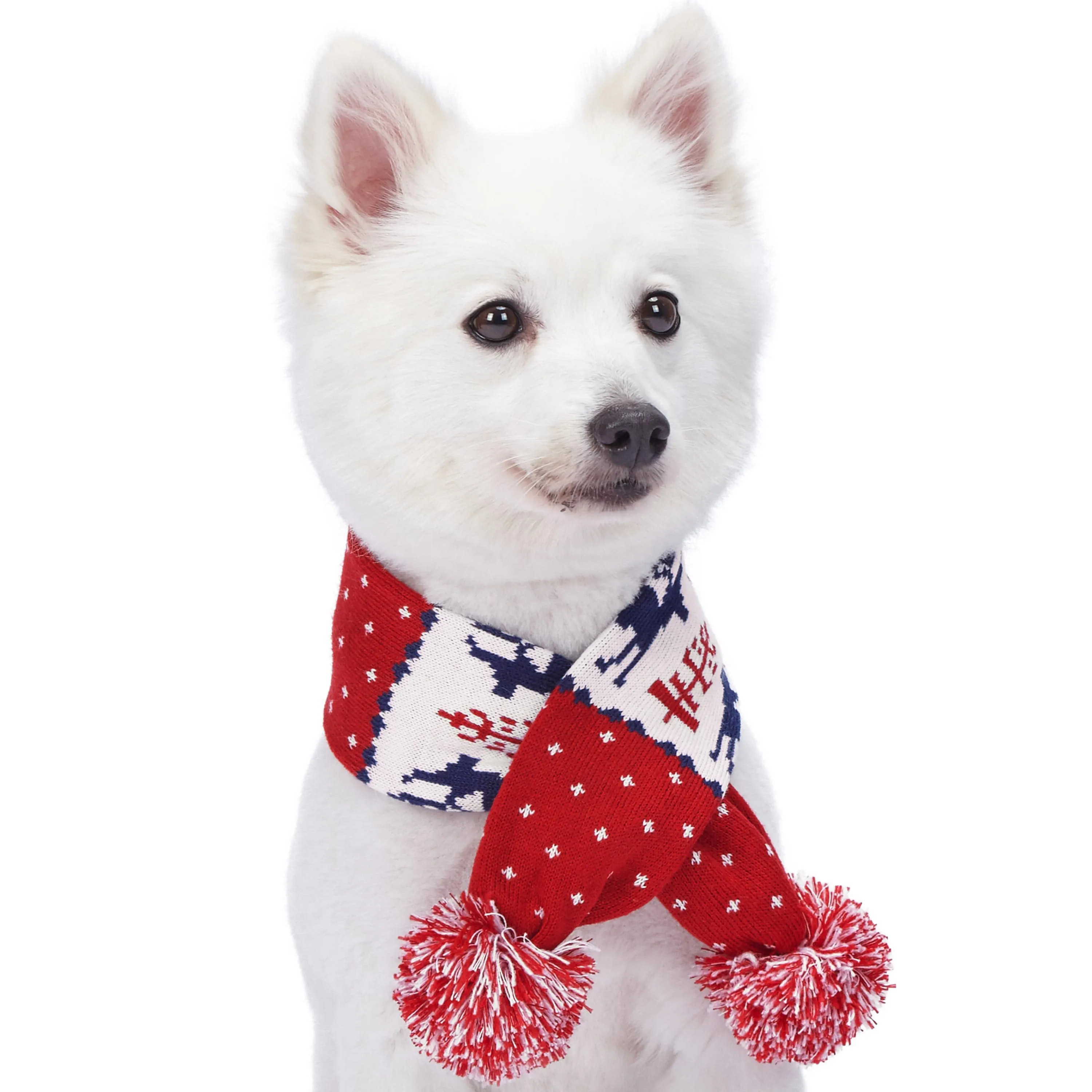 Holiday Family Matching Sweater in Tango Red for All