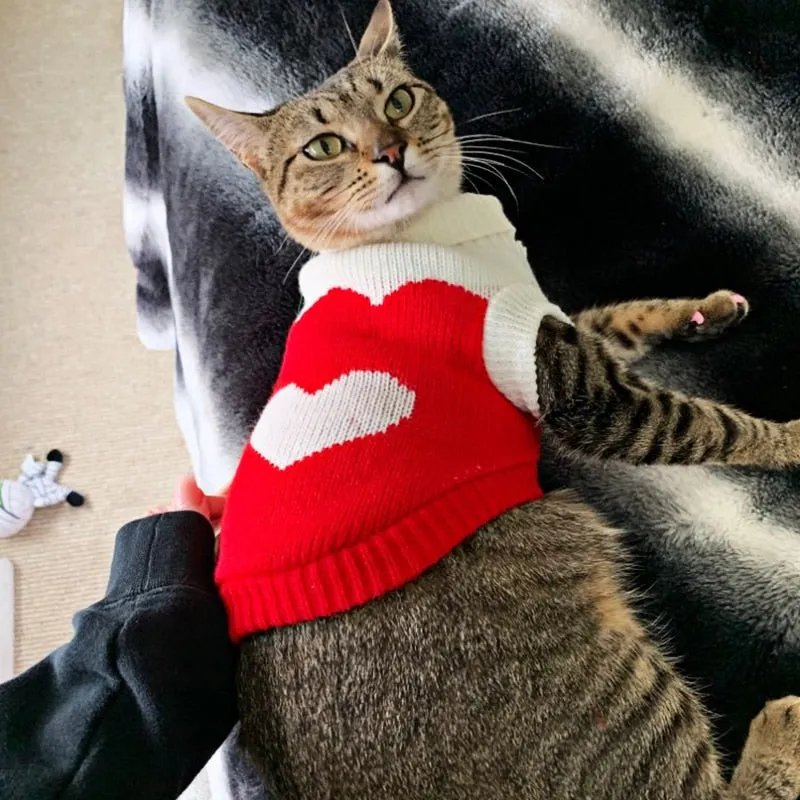 Pet Winter Season - Sweaters (S-XXXL)