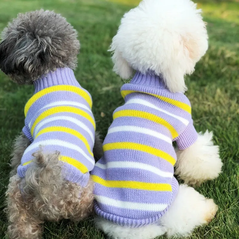 Pet Winter Season - Sweaters (S-XXXL)