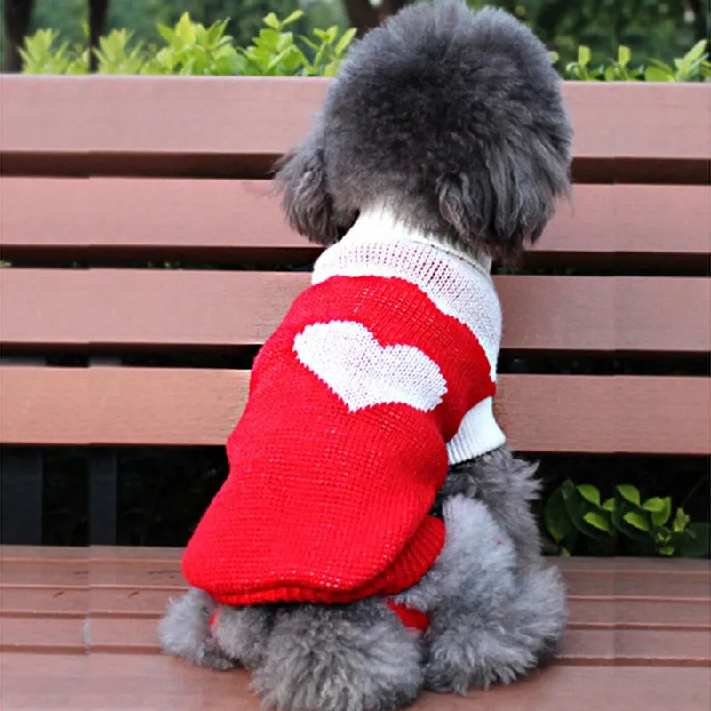 Pet Winter Season - Sweaters (S-XXXL)