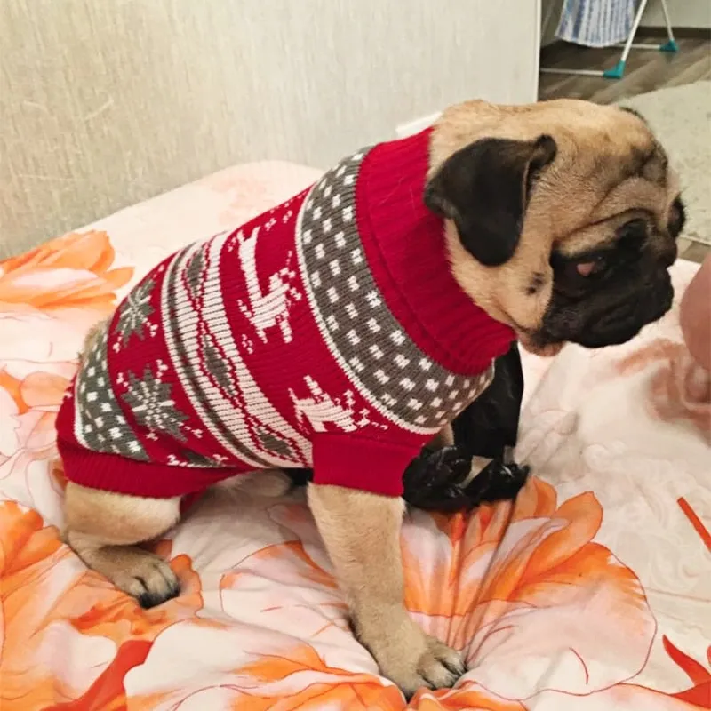 Pet Winter Season - Sweaters (S-XXXL)