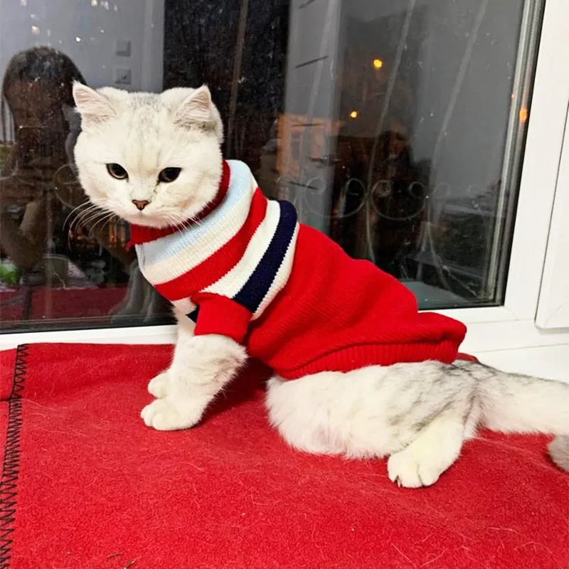 Pet Winter Season - Sweaters (S-XXXL)
