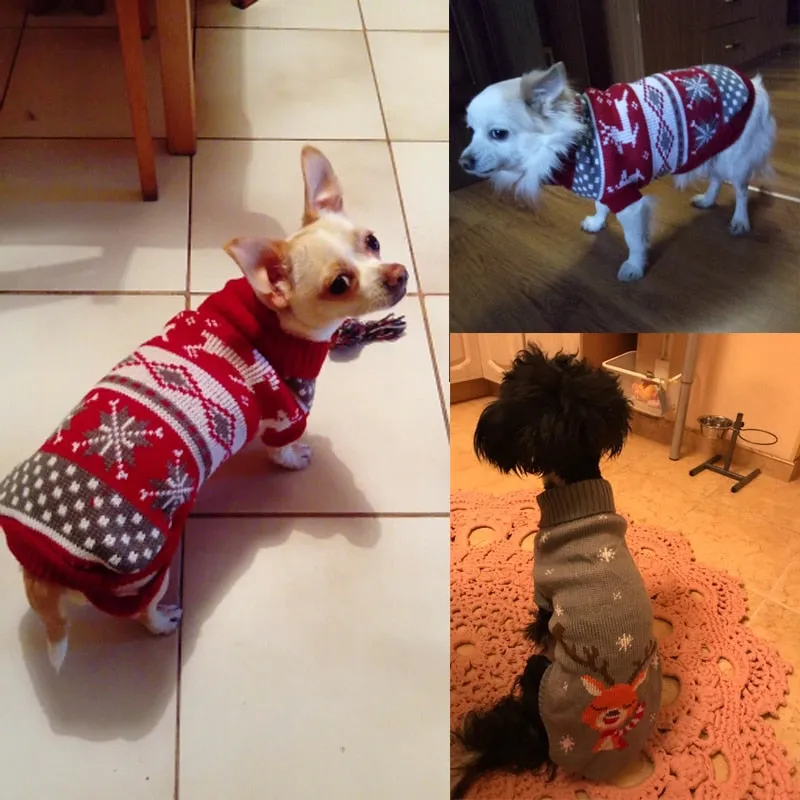 Pet Winter Season - Sweaters (S-XXXL)