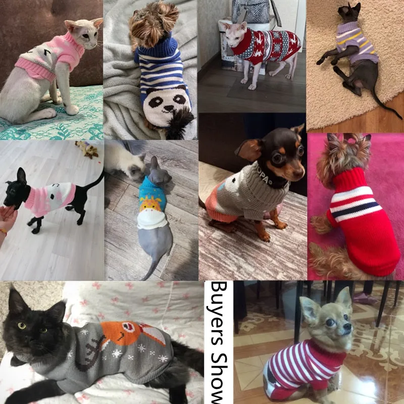 Pet Winter Season - Sweaters (S-XXXL)