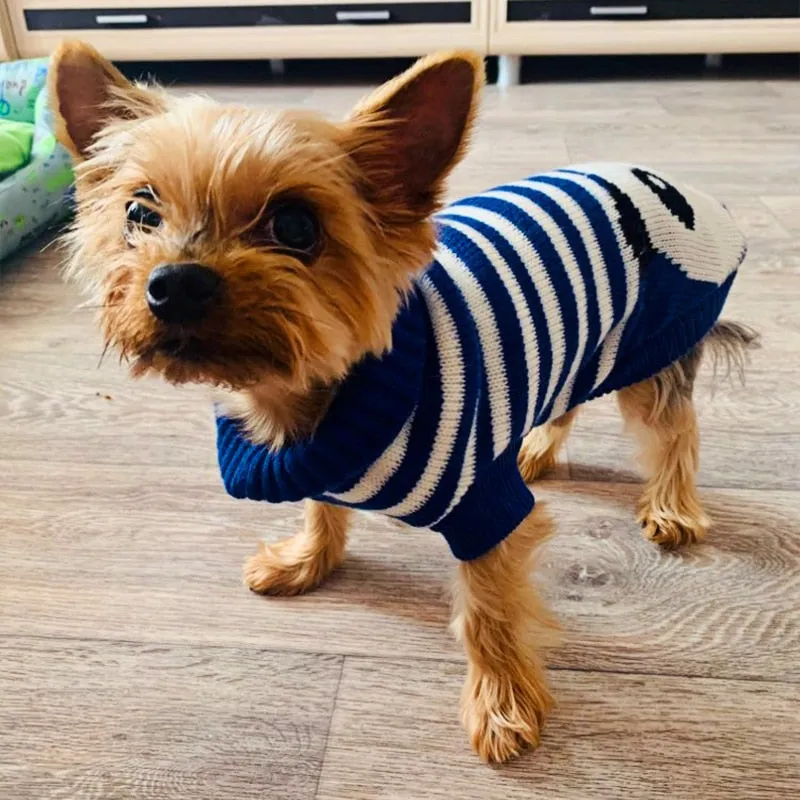 Pet Winter Season - Sweaters (S-XXXL)
